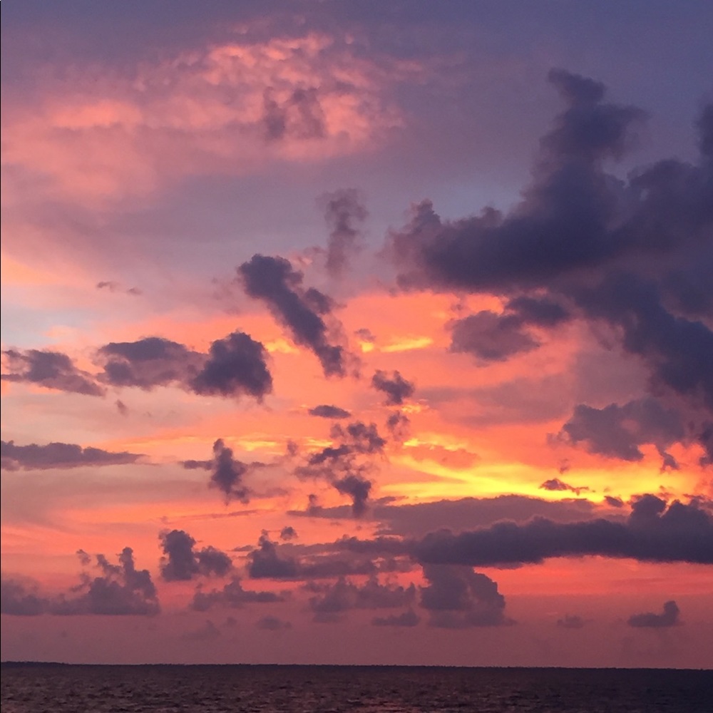 Meet your Posher, Maddy